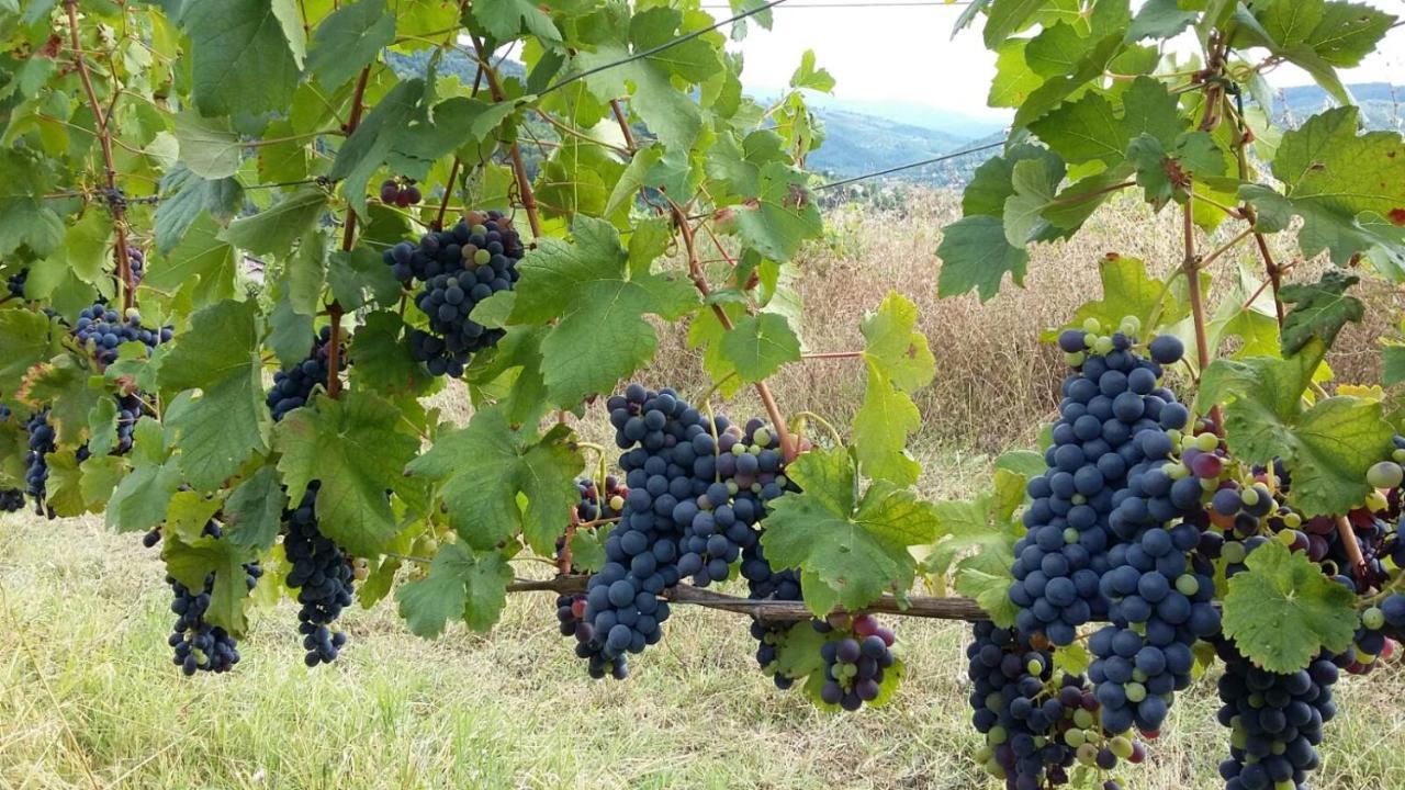 Вилла Uvamatta Carmiano  Экстерьер фото